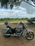 Dyna Switchback FLD 2014 - comprar online