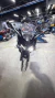 Suzuki GSX-S1000GT 2024 - BR101 MOTORS