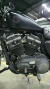 XL1200 IRON 2019