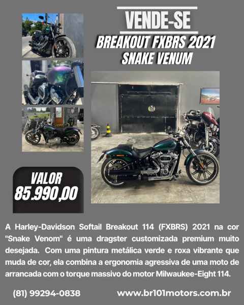 Breakout 114 FXBRS 2021 Premium Snake Venom