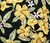Acquablock Externa Floral Ipê Amarelo com Fundo Preto na internet
