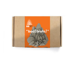 bud [broto] 66 peças - loja online