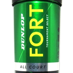 Dunlop Fort All Court - comprar online