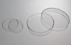 CAJAS DE PETRI - comprar online