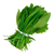 Semillas de achicoria hoja fina Huerta de Cero, hojas verdes y frescas.
