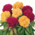 Comprar semillas de Celosia Cresta De Gallo Mix | Huerta de Cero