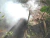 PRUEBA DE HUMO - SMOKE TEST