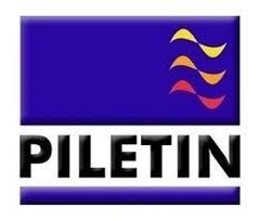 logo piletin