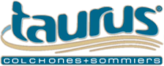 logo taurus