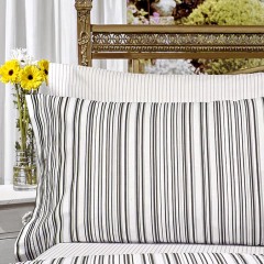 Sabana Fiesta 1 Plaza Diseño Muitu