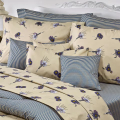 Sabana Regatta 1 Plaza Diseño El Leoncito