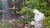 casona-historica-carlos-paz-villa-independencia-jardin (1)