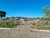 Lote-tejas-4 (2)