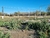 Lote-tejas-4 (7)
