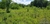 terreno-lote-santa-maria