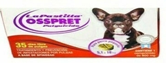 LAPASTILLA en internet