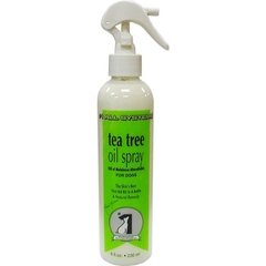 TEA TREE OIL