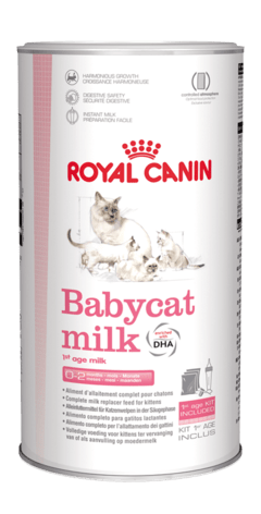 BABYCAT MILK