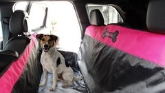 CUBREASIENTO PARA AUTOMOVIL - PURE PAWS  MEXICO