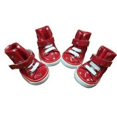 TENNIS ROJOS TIPO CONVERSE