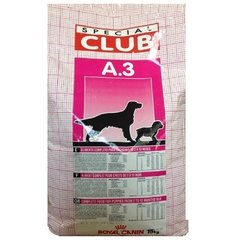 CLUB A3 CACHORRO