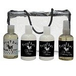 KIT SILK BASICS 125 ML PURE PAWS - buy online