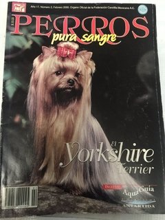 yorkshire terrier