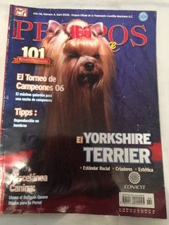 yorkshire terrier 2006