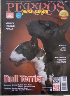 BULL TERRIER OCT 2017