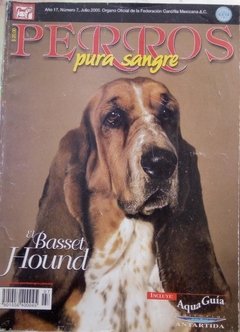 BASSET HOUND JUL 2000