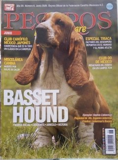 BASSET HOUND JUN 2009