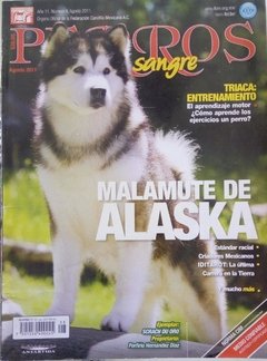 MALAMUTE DE ALASKA