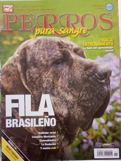 FILA BRASILEÑO NOV 2011