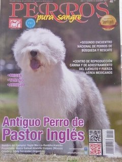 ANTIGUO PASTOR INGLES DIC 2017