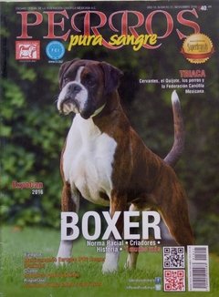 BOXER NOV 2016