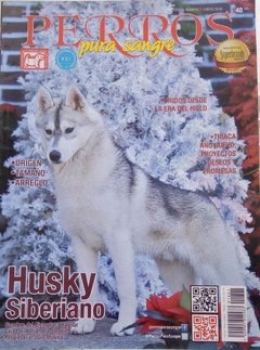 HUSKY SIBERIANO ENE 2018