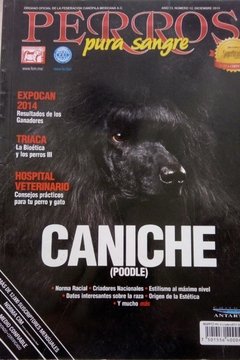 CANICHE DIC 2013