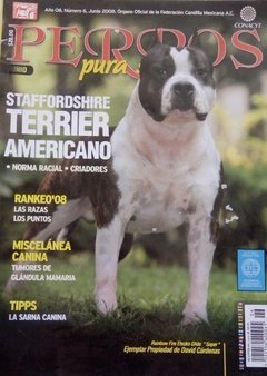 STAFFORDSHIRE TERRIER AMERICANO JUN 2008