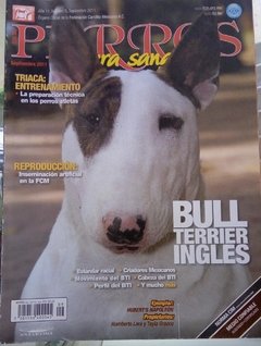 BULL TERRIER INGLES SEP 2011