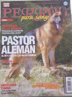 PASTOR ALEMAN ABRIL 2009