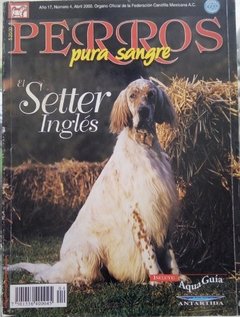 SETTER INGLES ABR 2000