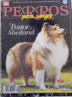 PASTOR DE SHETLAND ENE 2001