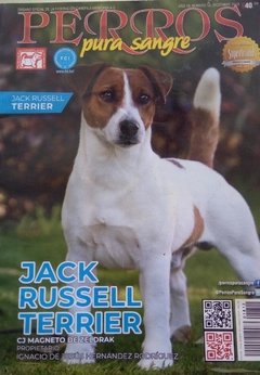 JACK RUSSELL TERRIER DIC 2018