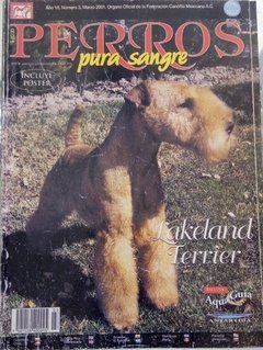 LAKELAND TERRIER MAR 2001