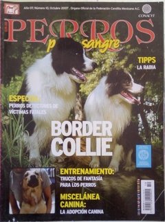 BORDER COLLIE OCT 2007