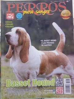 BASSET HOUND AGO 2017