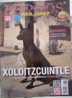 XOLOITZCUINTLE OCT 2016