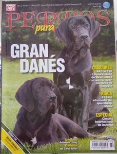 GRAN DANES FEB 2012