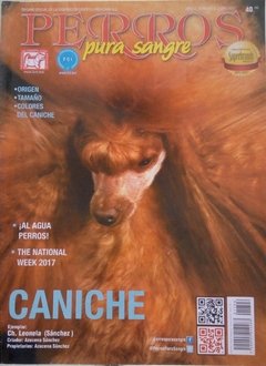 CANICHE JUN 2017