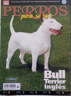 BULL TERRIER INGLES OCT 2003